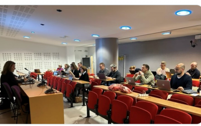 Séminaire Interlocuteurs Académiques pour le Numérique (IAN-EMI)